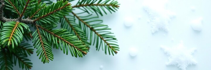 Obraz premium Branches of a fir tree laid flat against an icy white surface, crisp, forest