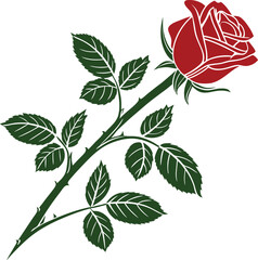 Obraz premium Colorful Rose Vector Design