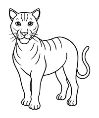 Caracal