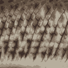  background of colored fish scales © Валентин Дроздов