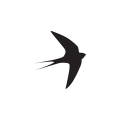 swallow bird or swiftlet silhouette black isolated in white background vector illustration