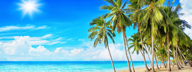 Tropical beach, sea landscape, exotic ocean island, green coconut palm tree leaves, hot sunny day, blue sky clouds, yellow sand, summer holiday, vacation, travel, Thailand, Caribbean, Maldives, Hawaii