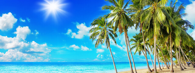 Tropical beach, sea landscape, exotic ocean island, green coconut palm tree leaves, hot sunny day, blue sky clouds, yellow sand, summer holiday, vacation, travel, Thailand, Caribbean, Maldives, Hawaii