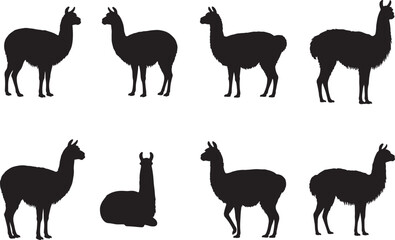 Llama Silhouette - South American Animal Icon