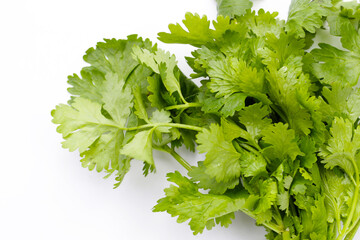 Fresh organic coriander, vegetables and herbs