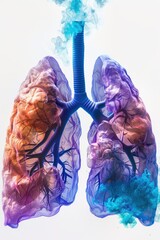 Colorful lung with purple, blue, and orange branches