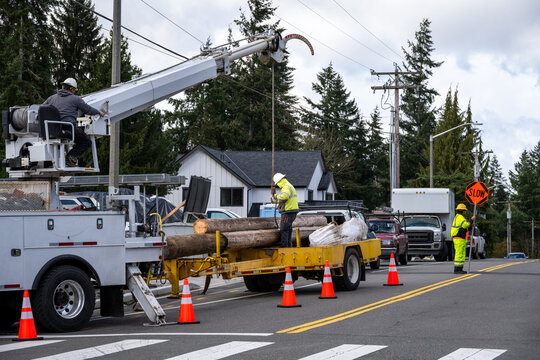 Temporary wood powerline pole cut off and being placed on trailer by utility digger derrick truck, lineman unhooking winchline, infrastructure upgrade supporting new housing development
