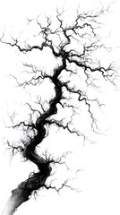 Obraz premium Twisted Bare Branches, Ink Drawing, Abstract Tree