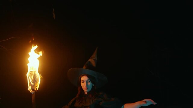 Shadowy witch in ornate black costume performing mystical ritual, wielding burning torch amid dark forest trees during haunting nocturnal supernatural gathering