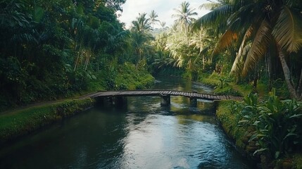 Tropical river, wooden bridge, lush jungle, calm water, travel