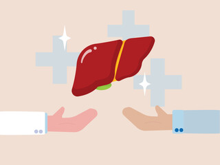 Liver doctor hand organ donation transplantation disease hepatitis medicine cirrhosis cancer vector illustration concept awareness treatment surgery anatomy diagnosis prevention inflammation support