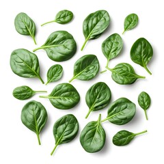 Fototapeta premium Fresh Spinach Leaves Pattern