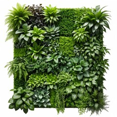 Fototapeta premium Lush Green Vertical Garden Wall
