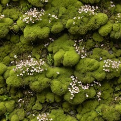 Lush Green Moss with Delicate White Flowers