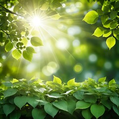 Sunbeams Through Lush Green Foliage