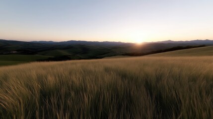 Obraz premium Golden sunset over rolling hills