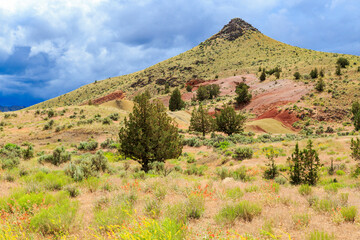 North America, United States, Oregon, Central Oregon, Redmond, Bend, Mitchell. Series of low clay hills striped in colorful bands of minerals, ash and clay deposits. Desert wildflowers.