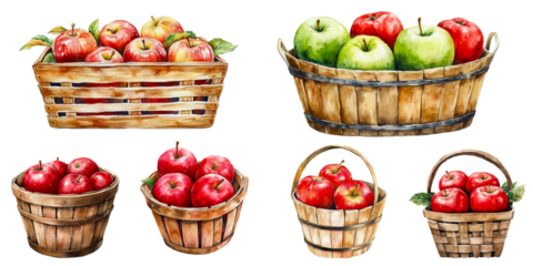 watercolor drawing of apple in wooden basket isolated on a white background,