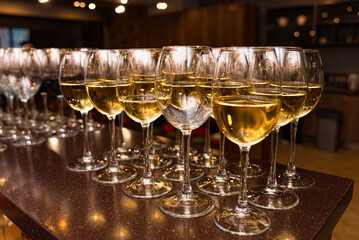 Row of white wine glasses at a bar. A row of elegant wine glasses filled with white wine arranged on a bar counter, ready for a formal event or celebration.