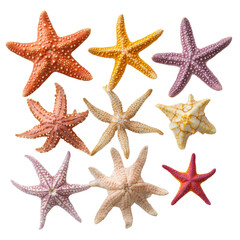 A collection of colorful starfish with different sizes and colors