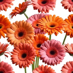 Vibrant Gerbera Daisies Bouquet