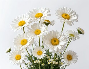 Obraz premium Bouquet of Daisies