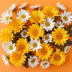 Vibrant Yellow and White Daisies on Orange Background