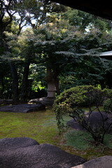 日本、東京、旧朝倉家住宅、回遊式庭園、お屋敷、重要文化財、渋谷区、歴史的建造物、木造階建、和風住宅