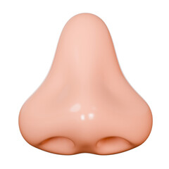 3D Rendering of a human nose suitable for medical diagrams, educational materials, or cosmetic surgery brochures. 
