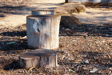 cut log stepping stones in natural playground