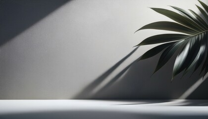 minimalistic easy historical past for product presentation shadow from tropical foliage and mild on gray wall