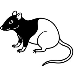 vector image of a mouse