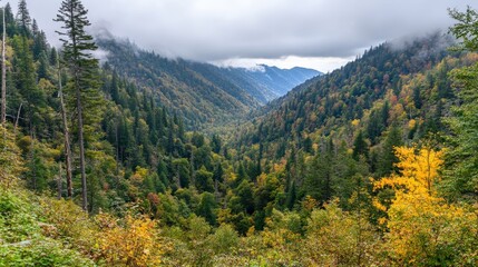 Fototapeta premium Misty Pastel View of Great Smoky Mountains Landscape