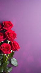 Romantic Red Roses Bouquet on Purple Background Valentine s Day Love Flowers