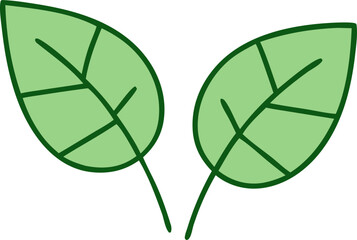 leaf illustration