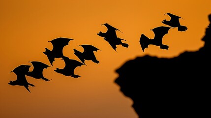 Colony of bats emerging from a cave at dusk silhouetted against the deep orange twilight sky