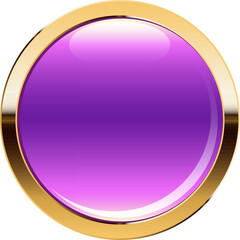 glossy blue glossy button