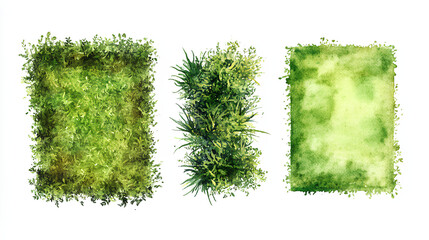 green grass isolated on white background, Set of watercolor tree top view for landscape plan and architecture layout