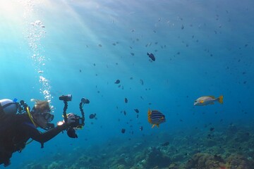 Scuba diver photographer and school of fish. Tropical ocean with sun light, fish, reef and...