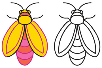 A Colorful Firefly and Its Outline Version for Coloring Pages Insects Nature Art Design Illustration