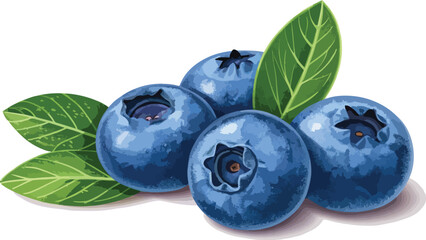 Blueberry Illustration vector design, Blueberry in white background vector design