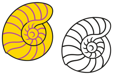 Obraz premium Nautilus Shell Illustration Color and Outline Design for Kids Coloring Book Page