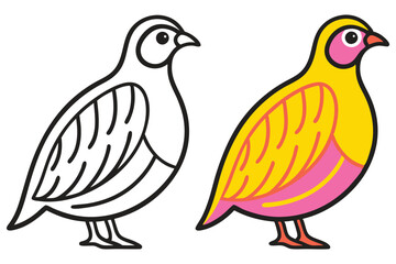 A Cute Quail Bird Coloring Page Illustration Featuring a Black and White Outline and a Vibrantly Colored Version