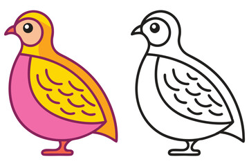 A Colorful Quail and its Outline for Coloring Pages Bird Illustration Perfect for Kids Activities Books and Educational Materials