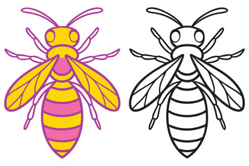 A Colorful Bee and Its Outline Drawing for Kids Coloring Pages Activities