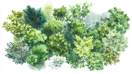 watercolor illustration of diverse trees and shrubs for landscape planning aerial view with soft organic shapes and varied shades of green isolated on white background  
