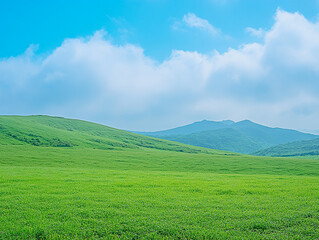Fototapeta premium Blue sky and white clouds