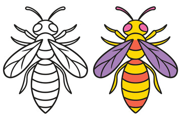 vector illustration of a bee