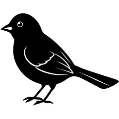 bird on a branch