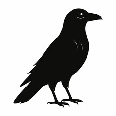 silhouette of a bird